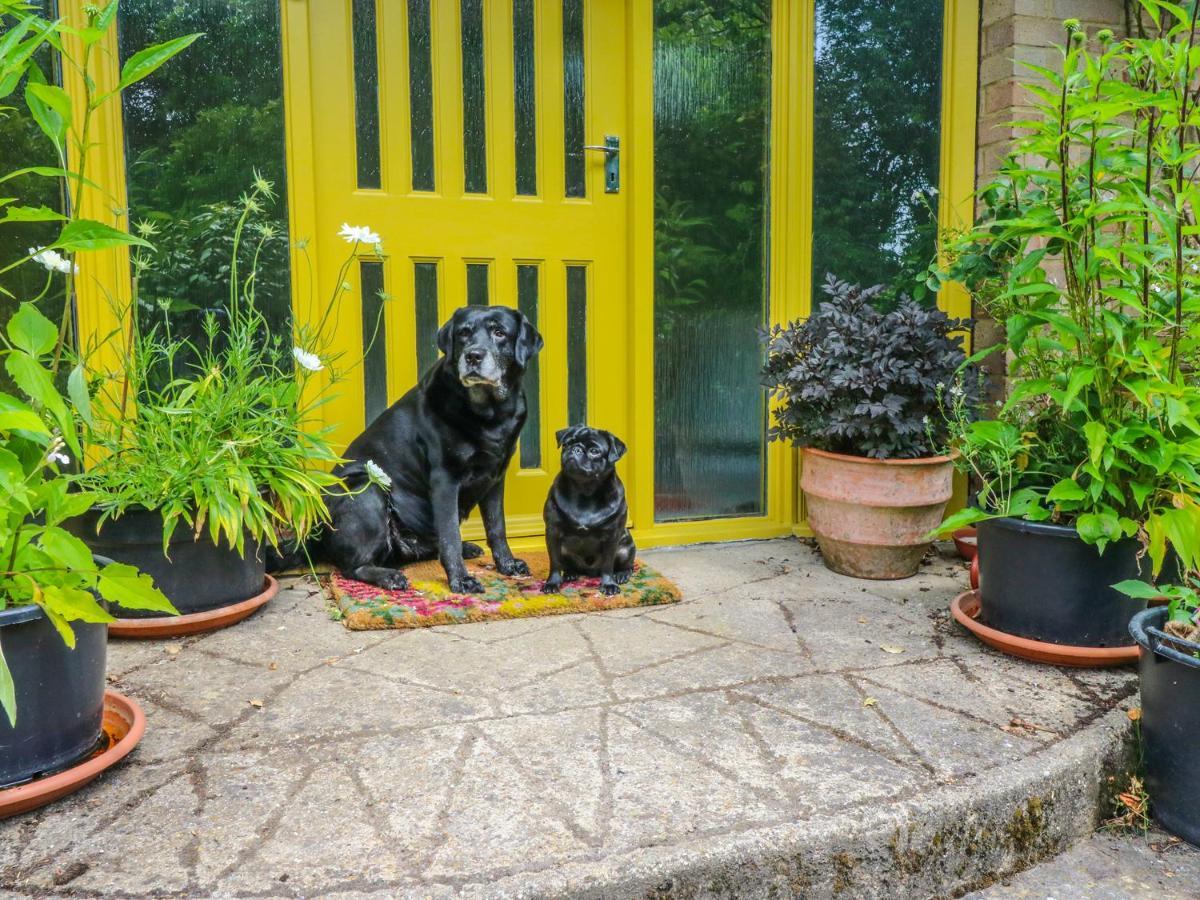 Vila Little Yaffle Dover Exteriér fotografie